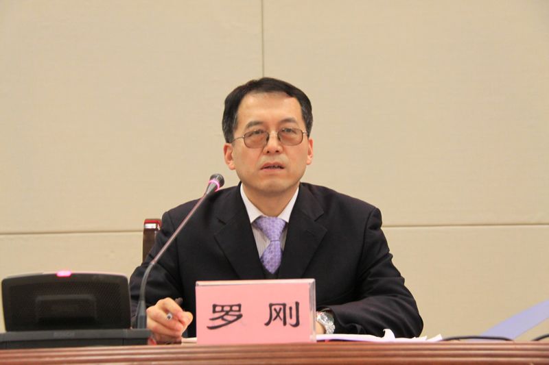 4协会副秘书长罗刚同志主持会议.JPG